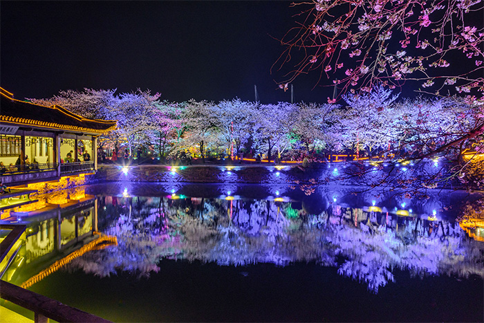 景觀(guān)亮化工程